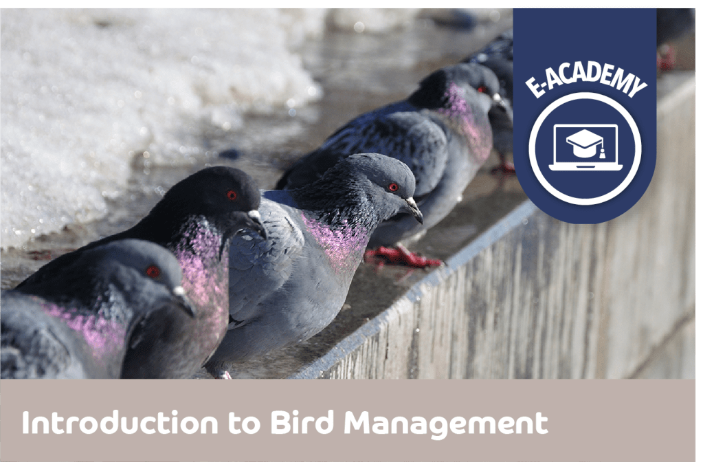 Introduction Bird Management